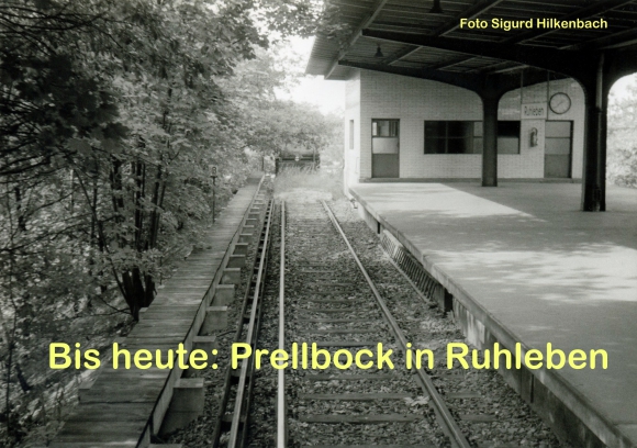 Preebock in Ruhleben